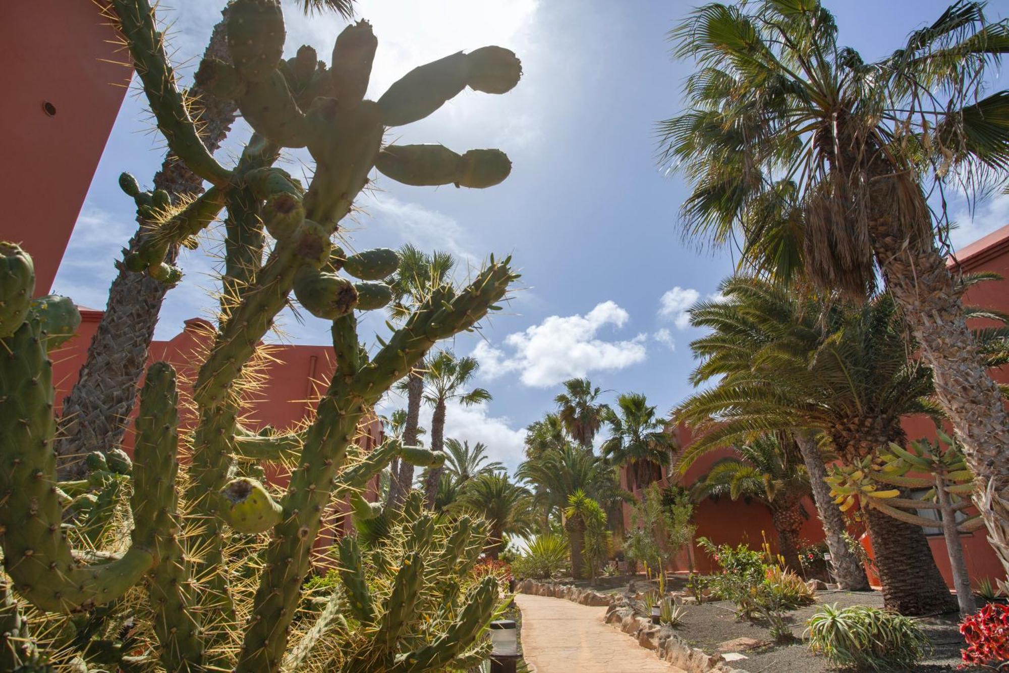 Away From * Corralejo